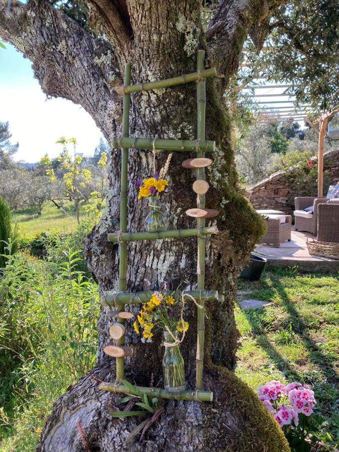 Porturama Bed & Breakfast Mouronho Exterior foto
